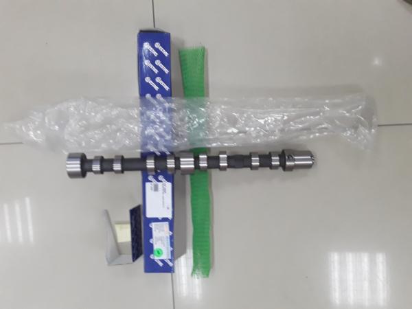 Вал распределительный (распредвал) выпускной Fiat Ducato Russia/Ducato New (250) 2.3JTD